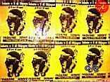AffichesCARJuin11.JPG